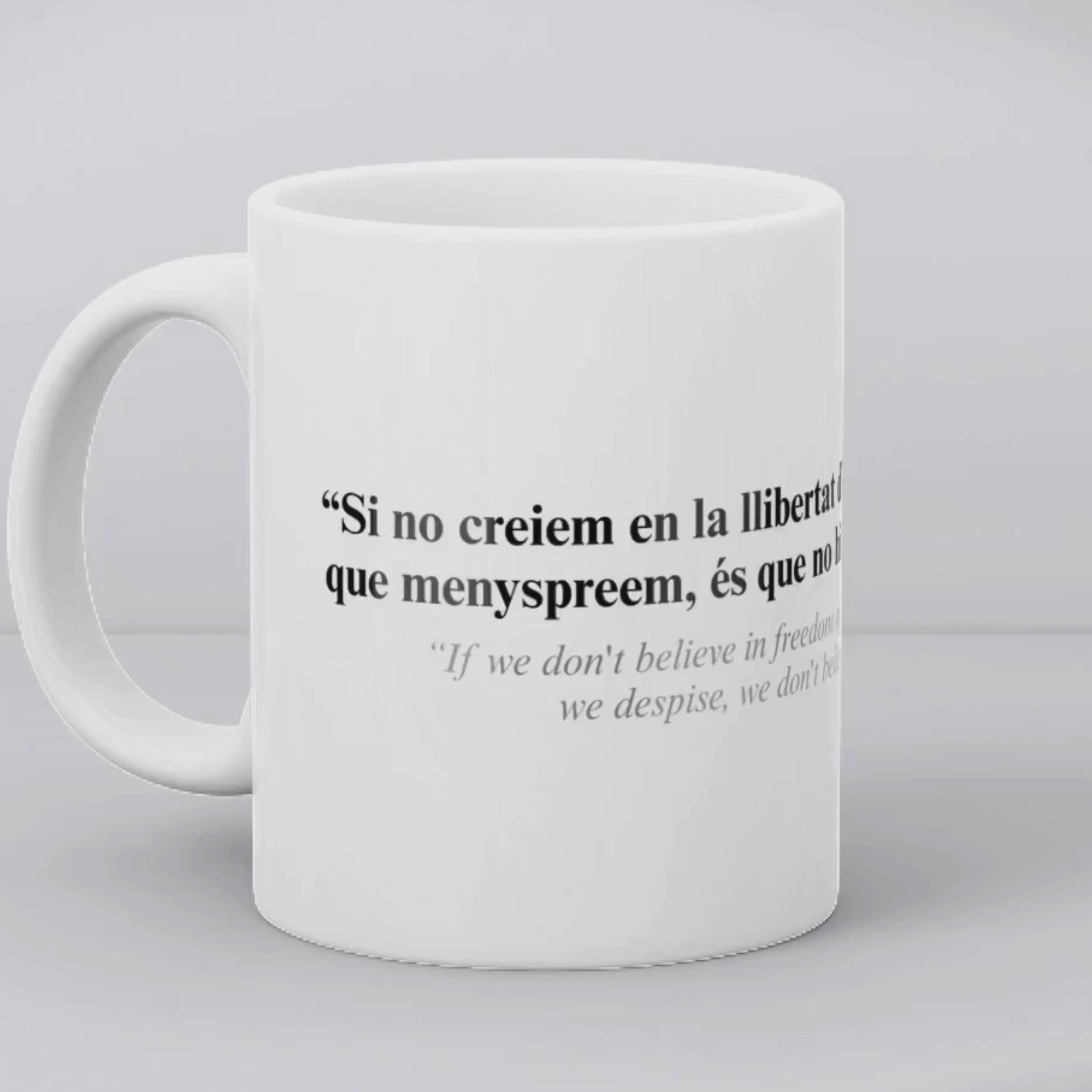 Tassa: “Si no creiem en la llibertat d’expressió…” - Noam Chomsky