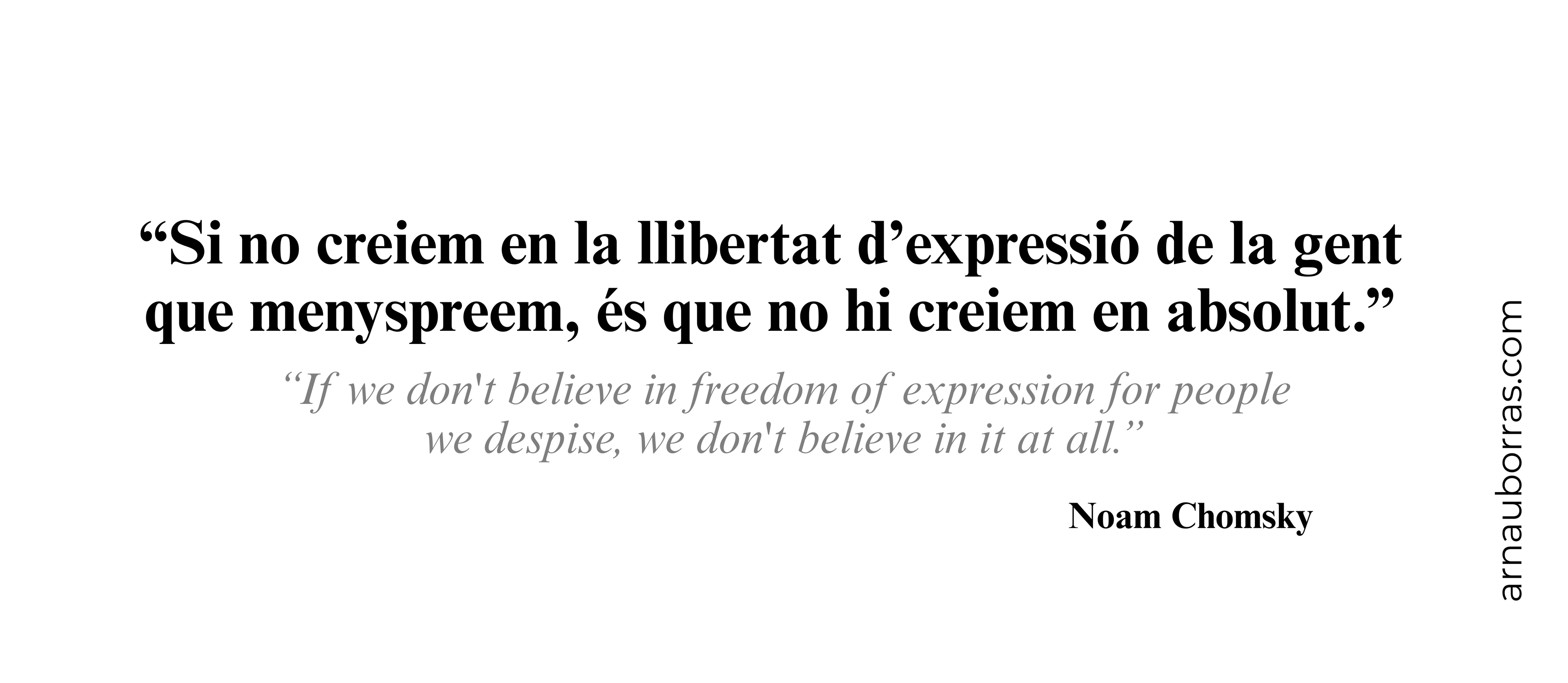 Tassa: “Si no creiem en la llibertat d’expressió…” - Noam Chomsky
